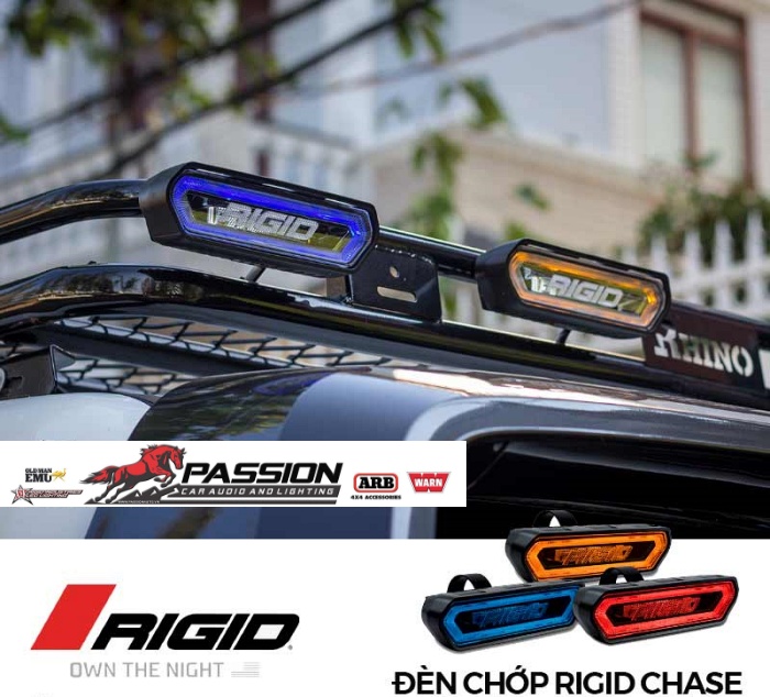 Đèn Led Rigid Chase Amber màu xanh - Chính Hãng | PassionAuto