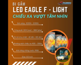 BI Gầm Led Eagle F - Light | đèn bi led chính hãng Aozoom | Độ đèn guận thủ đức 